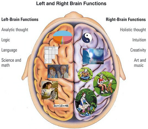 Right and Left brain dominance of web designers and SEOs.