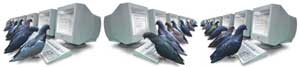 PigeonRank